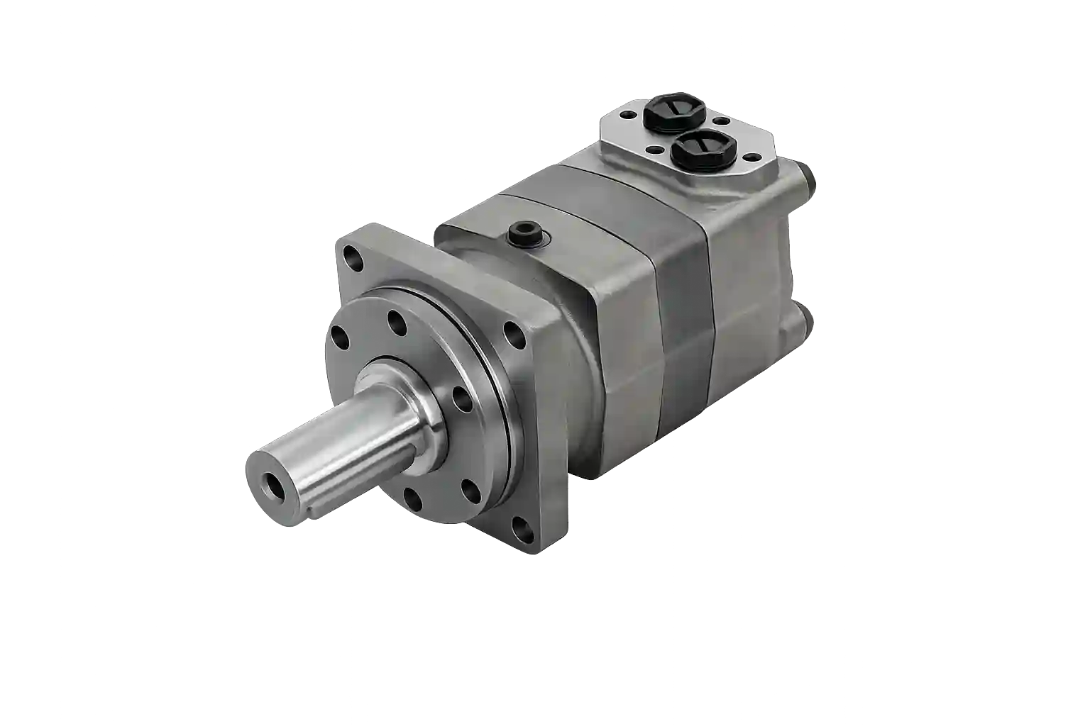 Compact hydraulic gear motor for industrial machinery.